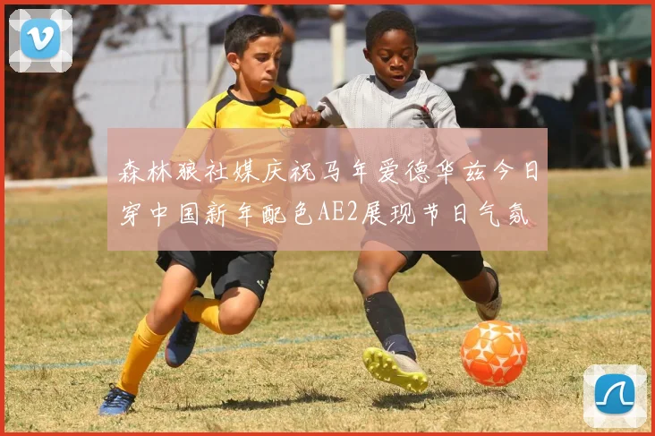 森林狼社媒庆祝马年爱德华兹今日穿中国新年配色AE2展现节日气氛